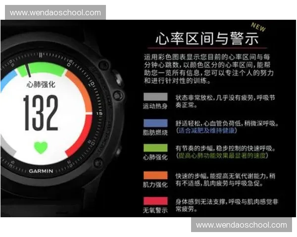 体育数据管理平台助力运动训练分析与科学决策优化方案